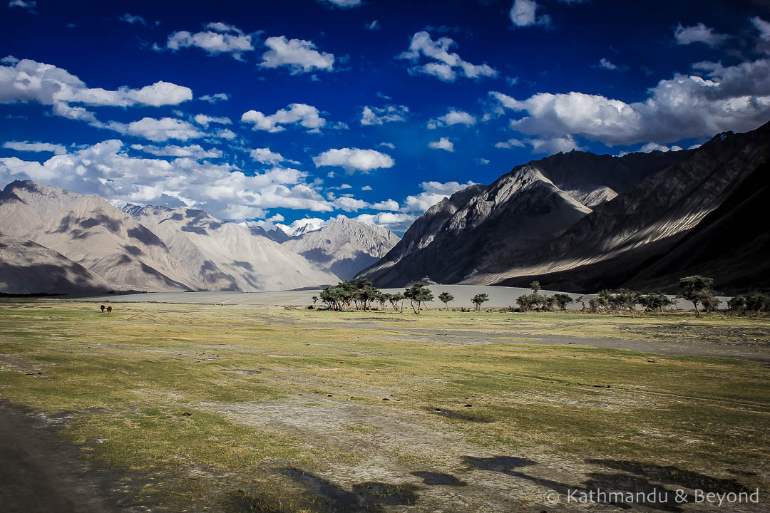 Nubra Valley Ladakh India 30-Edit 2