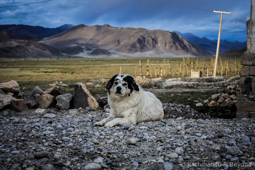 Tingri Tibet