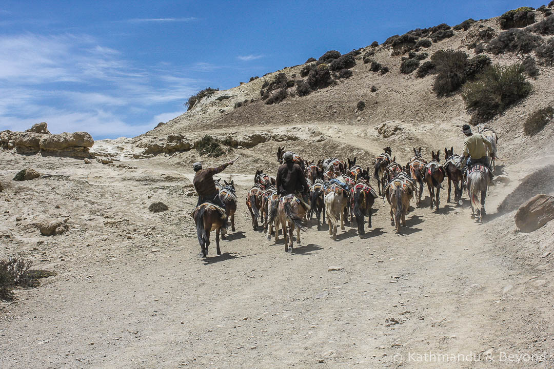 En route Syangboche to Ghemi Upper Mustang Nepal 1