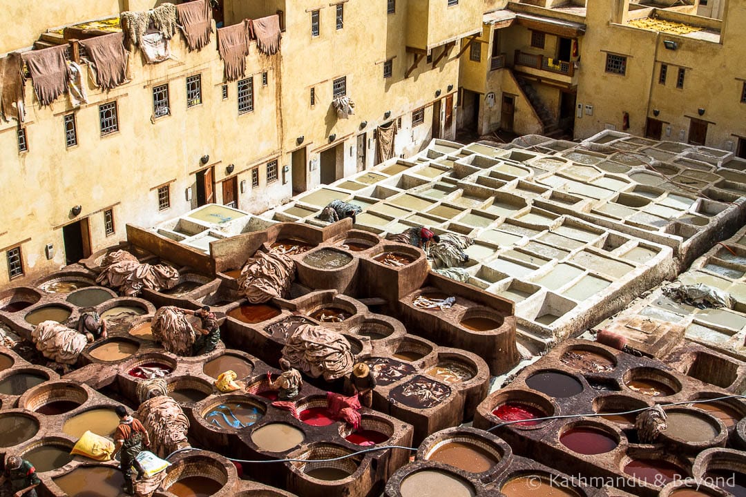 Visiting the Leather Tanneries of Fez in Morocco