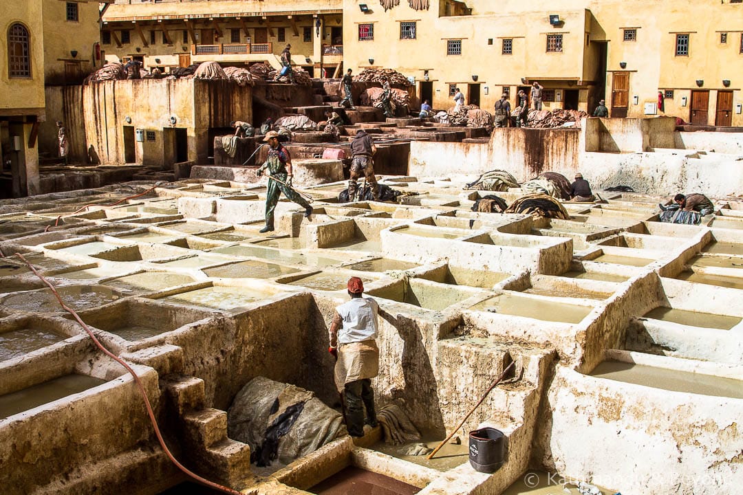 Visiting the Leather Tanneries of Fez in Morocco