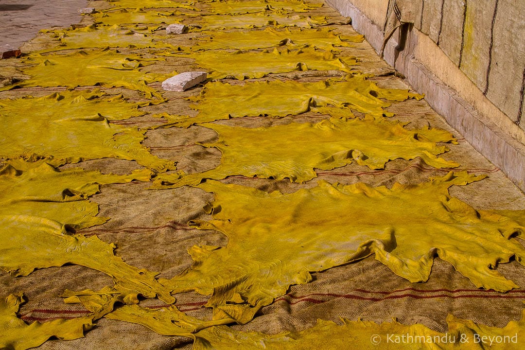 Visiting the Leather Tanneries of Fez in Morocco