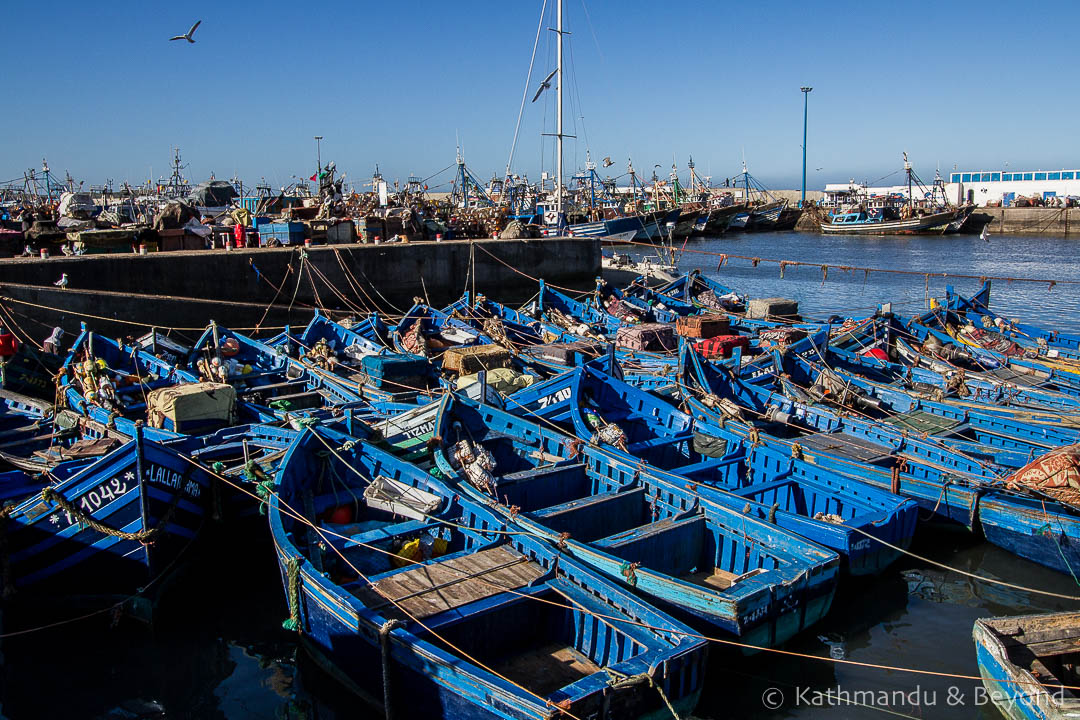 Three weeks in Morocco