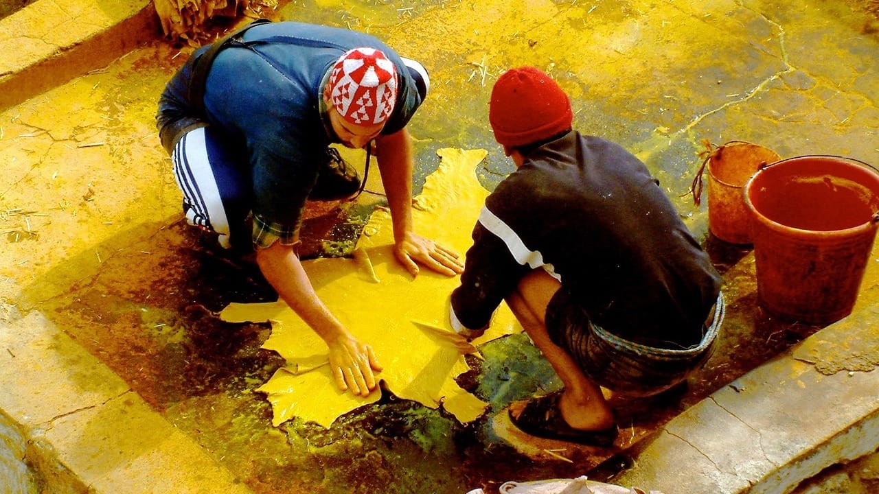 Visiting the Leather Tanneries of Fez in Morocco