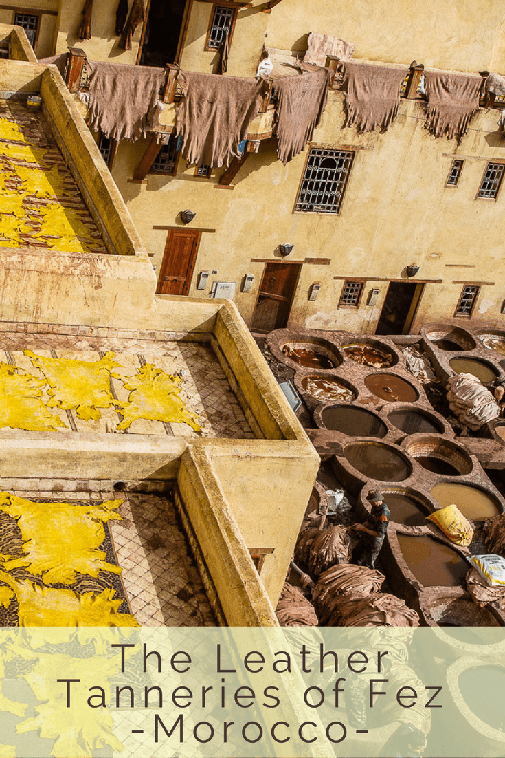 Visiting the Leather Tanneries of Fez in Morocco