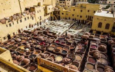 Visiting the Leather Tanneries of Fez in Morocco