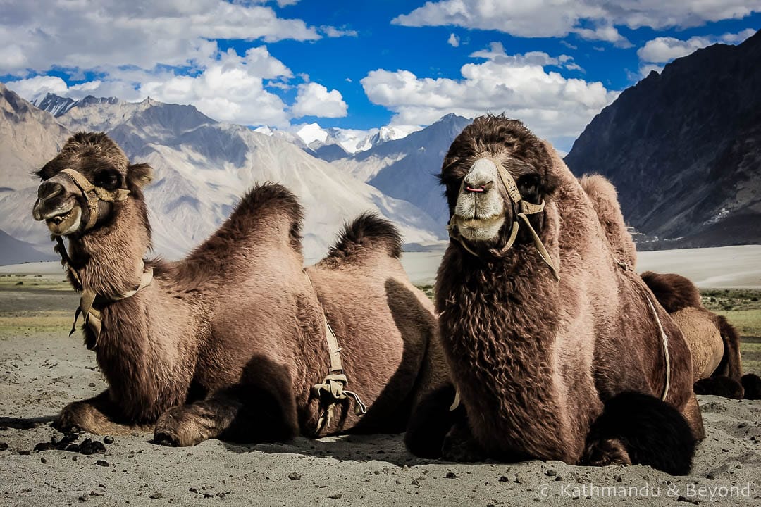 Nubra Valley Ladakh India 19-Edit 2