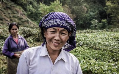 Travel Shot: Tea pickers near Darjeeling in India