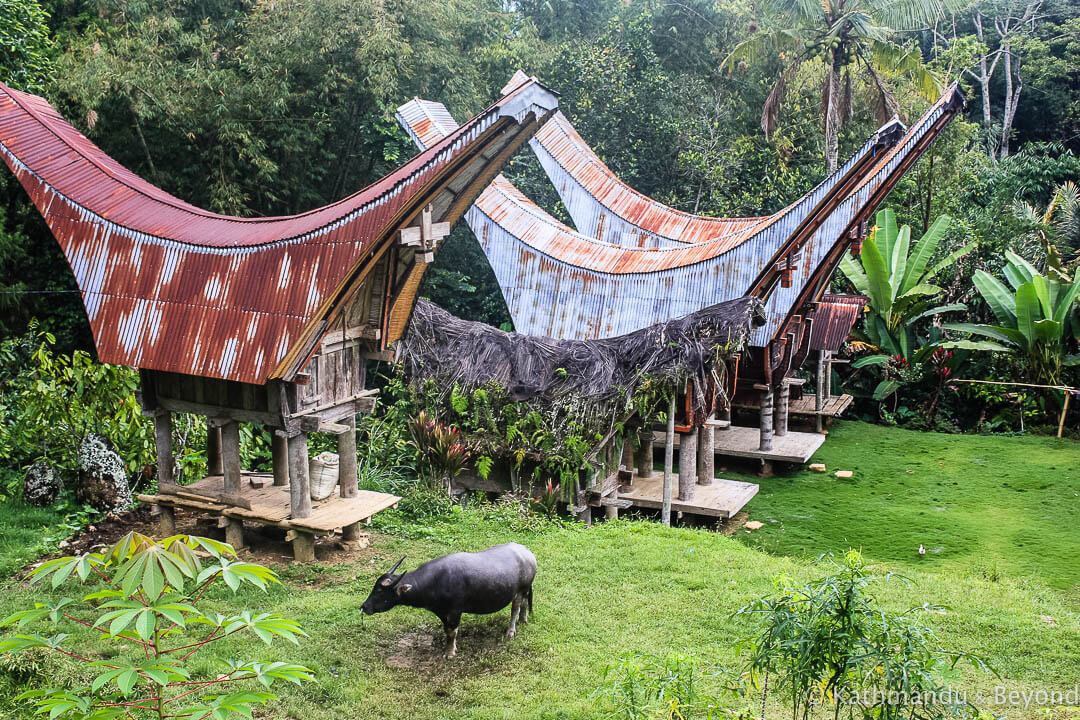 Toraja Sulawesi Indonesia 9-2