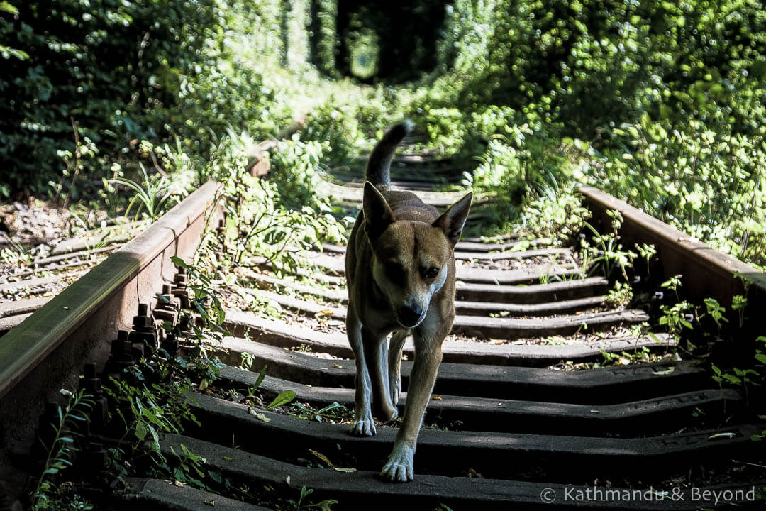 Visiting Ukraine’s Tunnel of Love