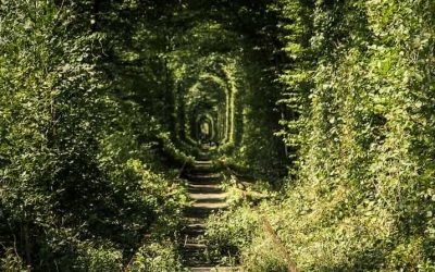 Visiting the Tunnel of Love, Ukraine
