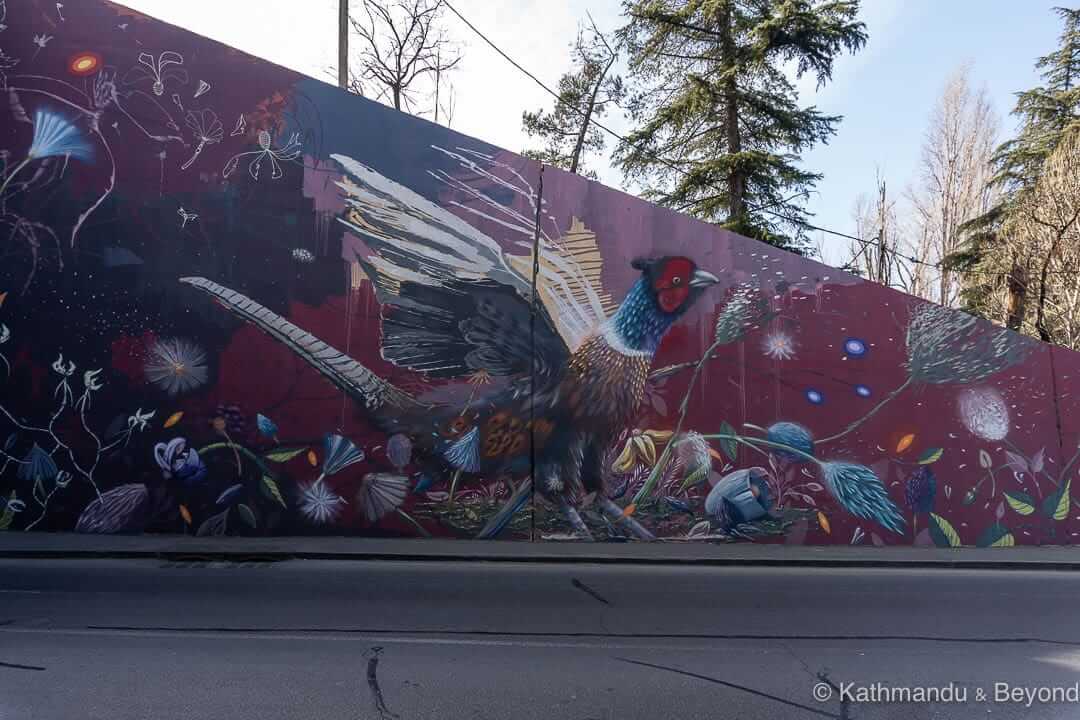 Street Art (Collin van der Sluijs) Tbilisi Georgia