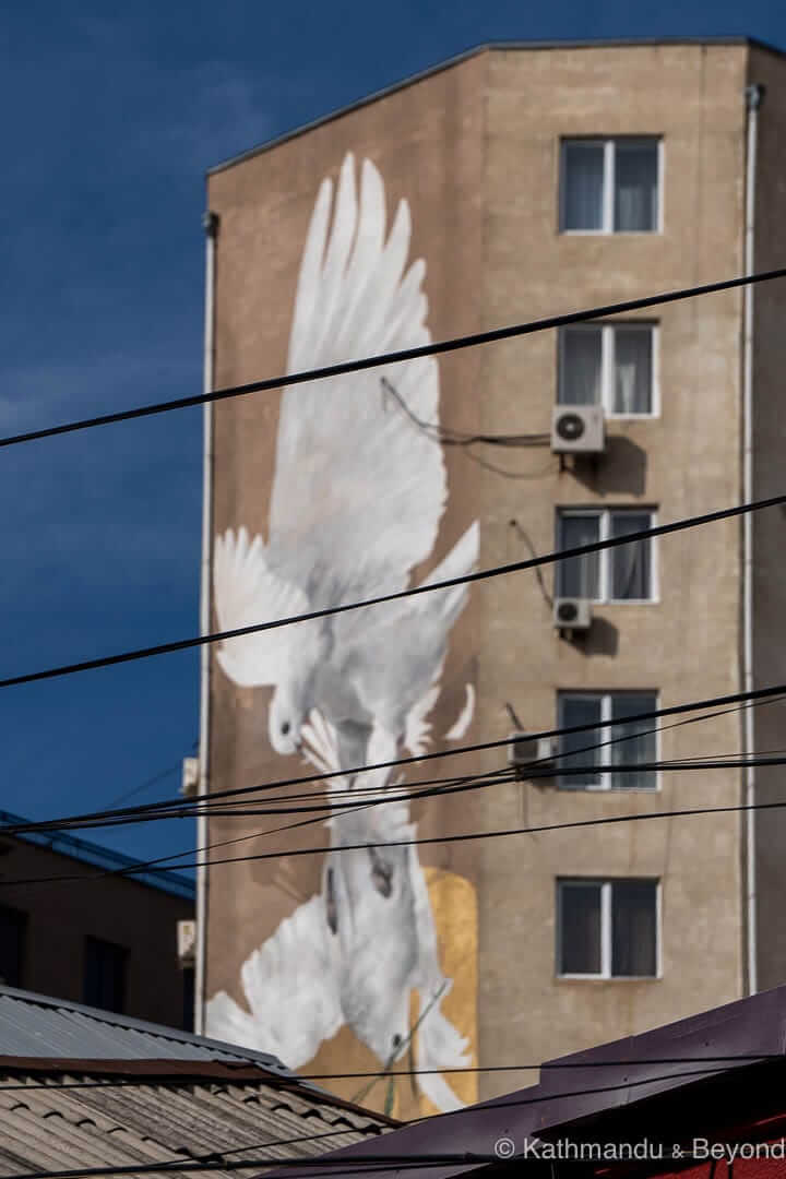 Street Art (Innerfields) Tbilisi Georgia