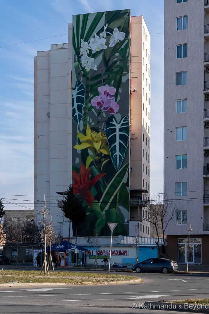 Street Art (Mazza) Tbilisi Georgia