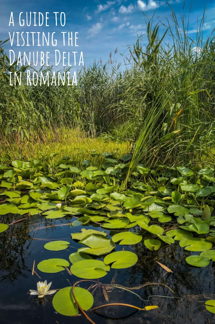 A guide to visiting the Danube Delta in Romania #travel #balkans #deltadunarii #europe #offthebeatentrack