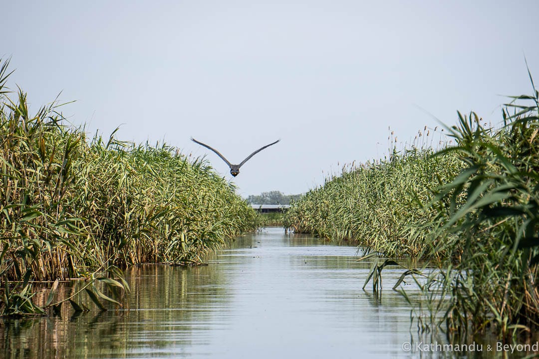 Danube Delta Romania-10