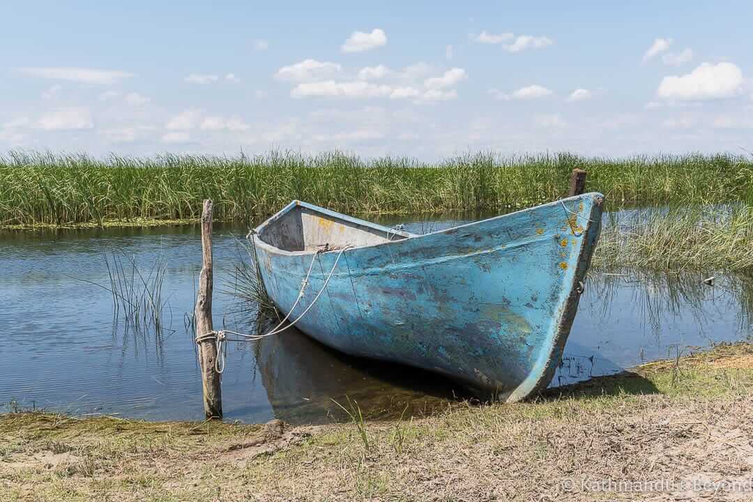 Letea Danube Delta Romania-9