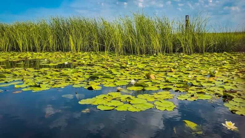 Visiting the Danube Delta in Romania