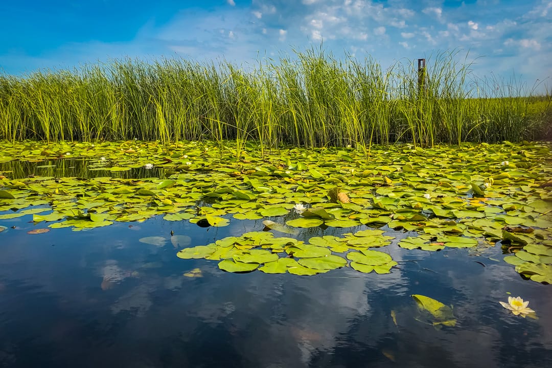 Visiting the Danube Delta in Romania