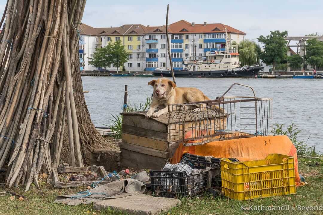 Sulina Romania-8