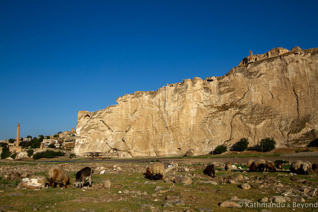 Hasankeyf Turkey (10)