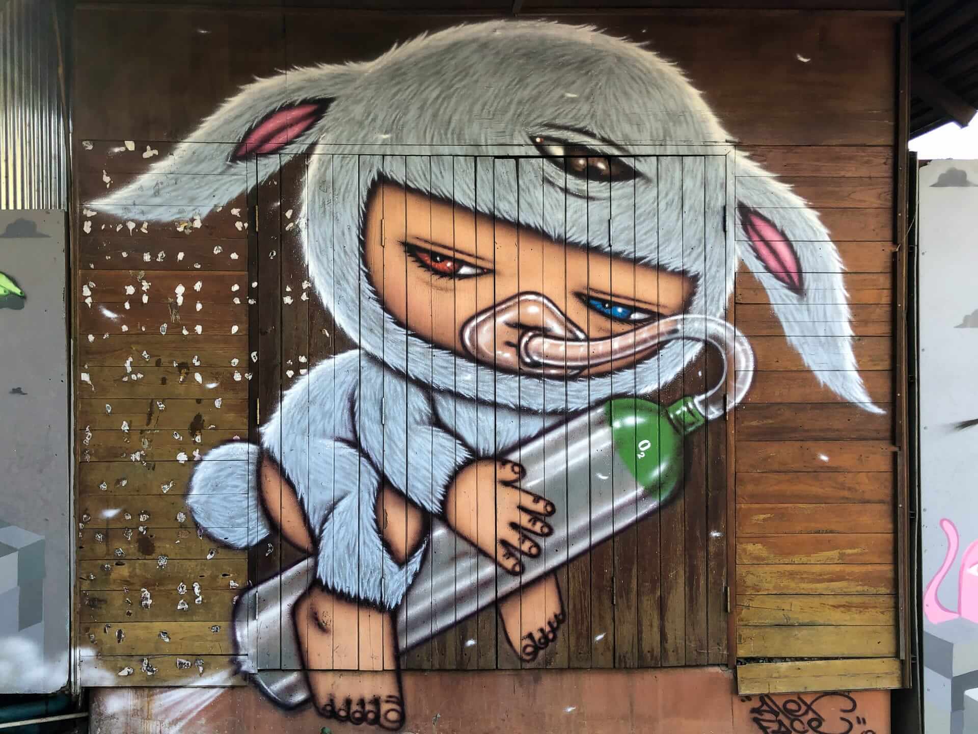 Mardi by Alex Face - Street Art Jing Jai Market, Chiang Mai, Thailand-5