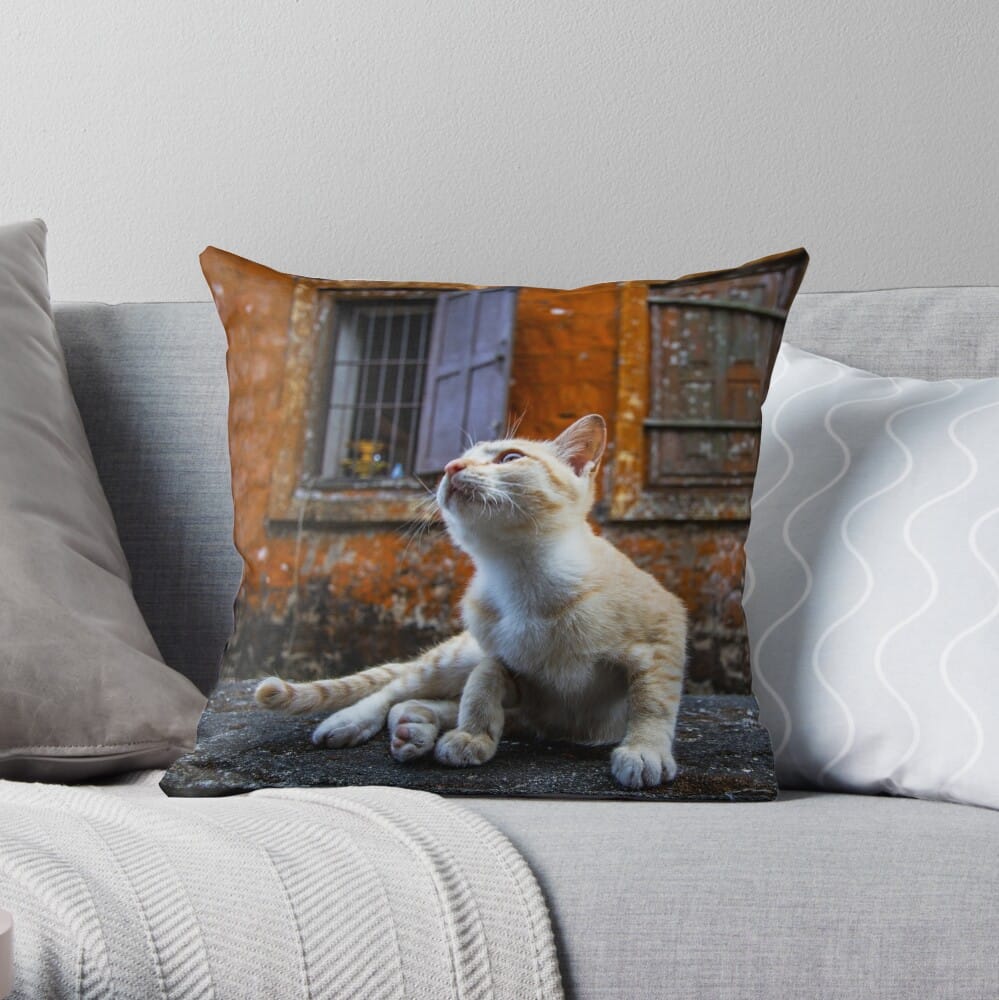 Bokor cat throw pillow (Cambodia travel blog)