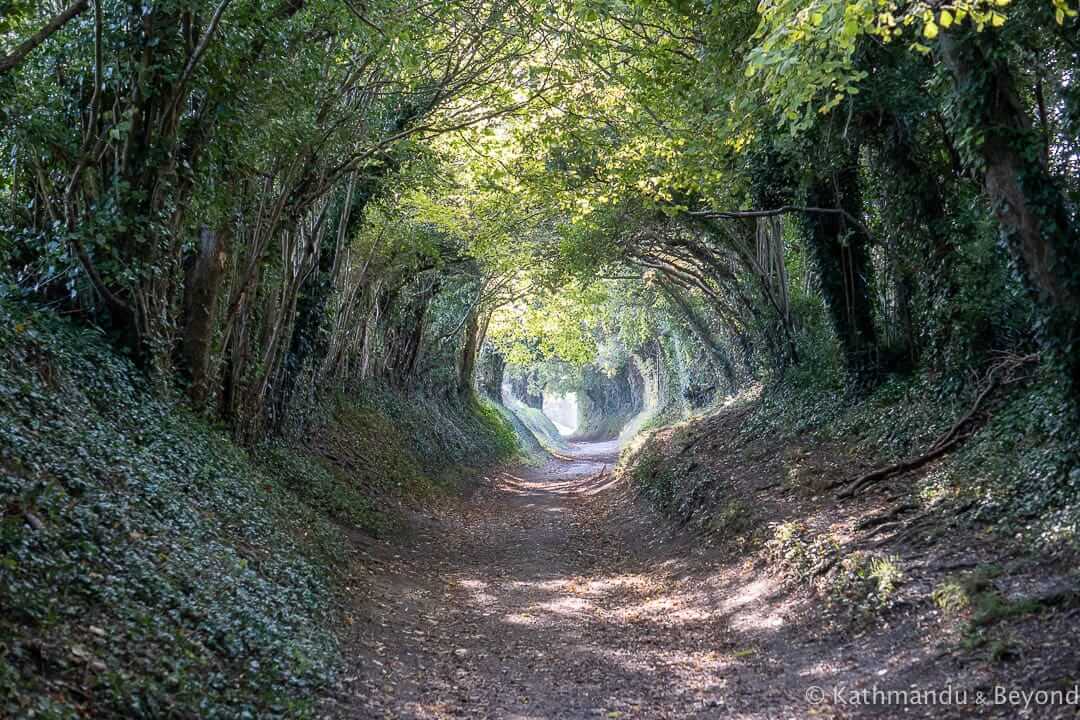 Mill Lane Halnaker Chichester England-16