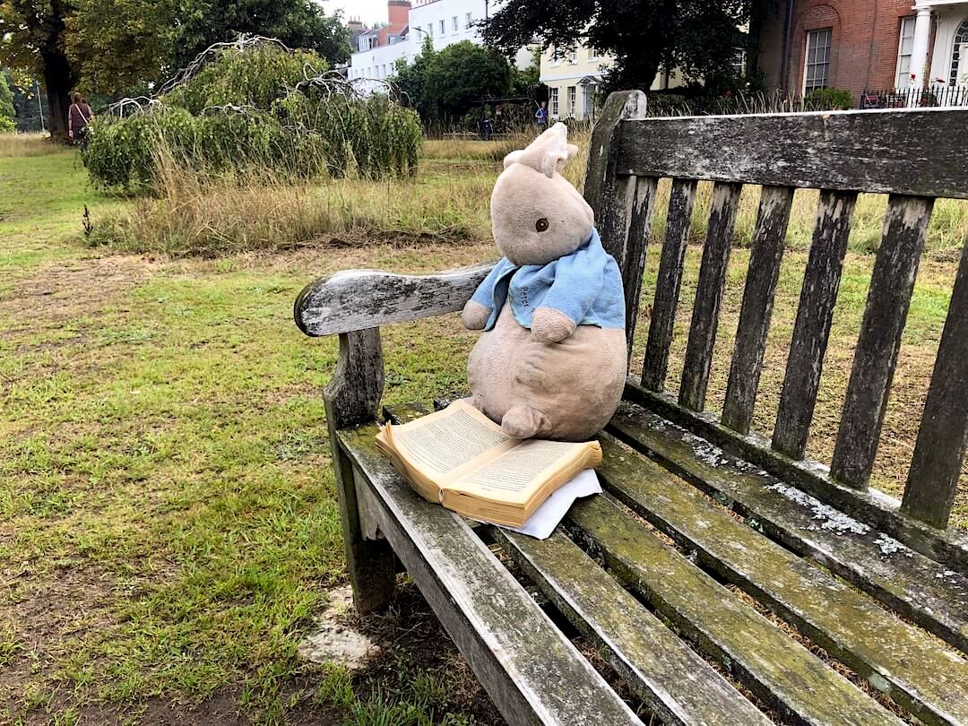 Peter Rabbit on the bench