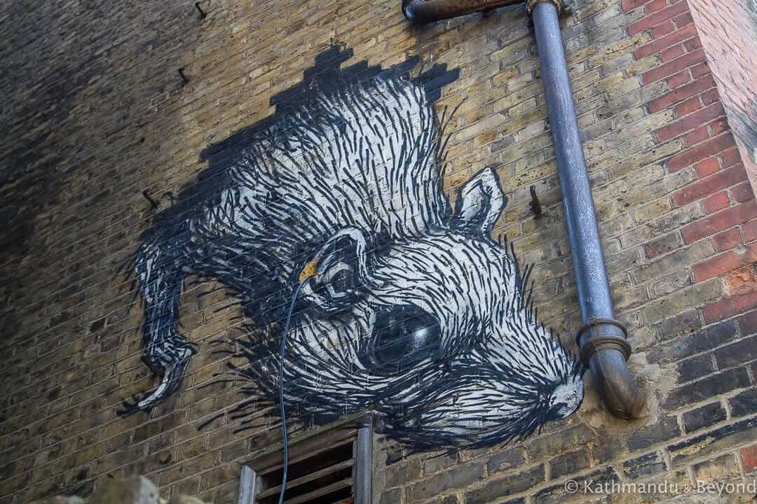 Roa Street Art in London in Aldgate London England-9